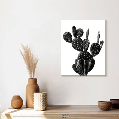 Cactus épine - impression sur toile tendue