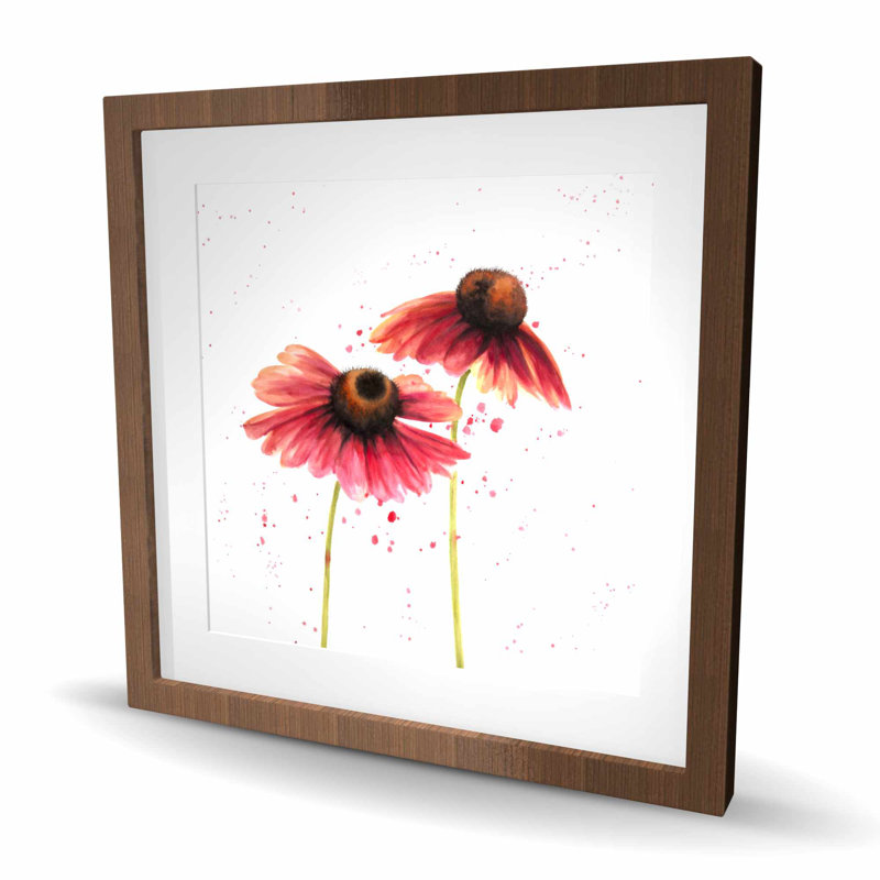 Deux marguerites roses - chambre à coucher brune