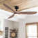 Soumeya 60'' Ceiling Fan With LED Lights, Remote Control and Quiet Reversible Dc Motor
