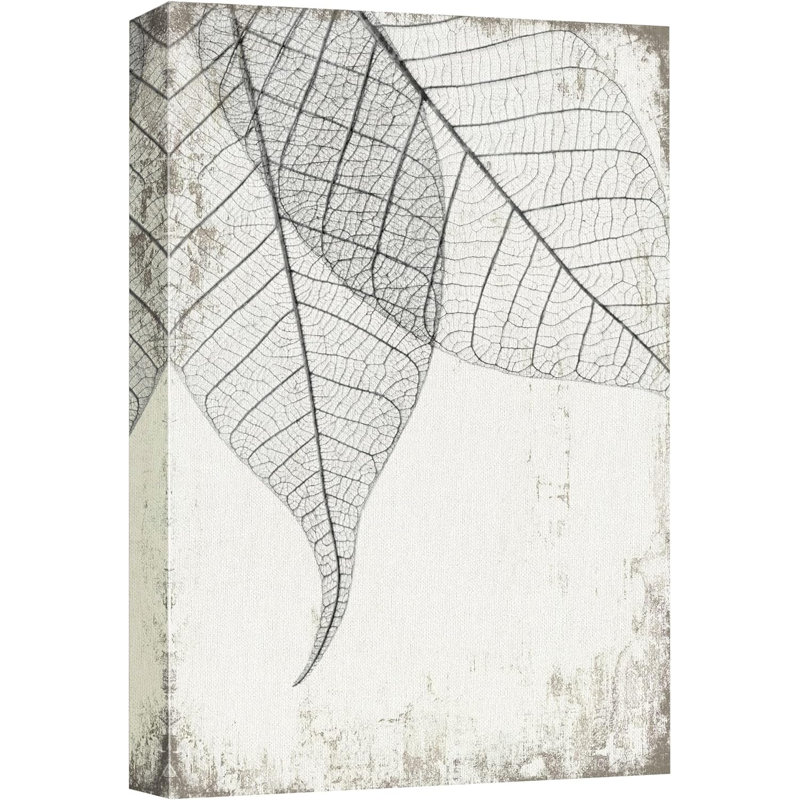 Plantes grises noires et blanches transparentes sur toile