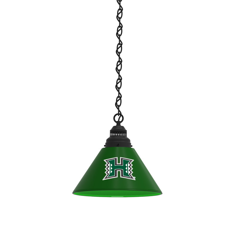 1 - Light Single Pendant, Black, Hawaii Rainbow Warriors