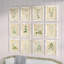 Wild Flower Botanical - Ensemble de 12 reproductions de cadres photo sur papier