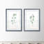 «Soft Eucalyptus Branch III» par Vincent Van Gogh - ensemble de 2 reproductions d'art encadrées-1994130586-1994144010-1994144012