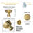 1.23" Diameter Mushroom Knob Multiple Pack-104649752