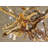 Glass Top Solid Wood Base Dining Table