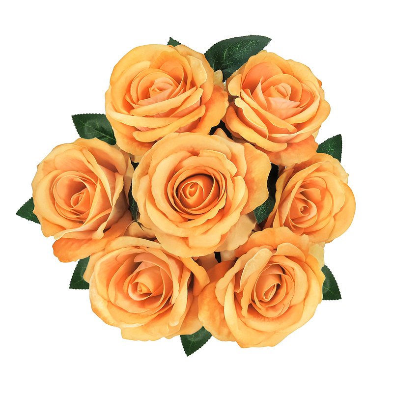 Velours rosier, Orange