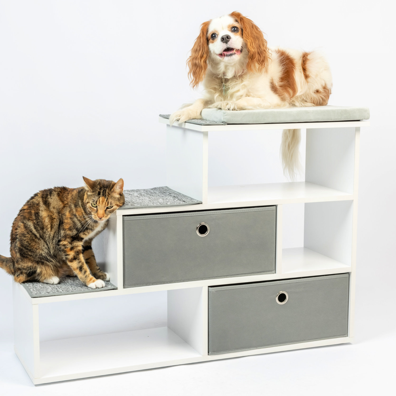 Dog Window Perch, 3 in 1 Dog Bunk Bed with 2 Stairs, Dog Perch with 1  Removable Cushion and 3 Non-Slip Cat Scratch Pad, Dog Perch to Look Out  Window