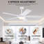 Ventilateur de plafond 52 pouces à 5 pales avec lumières et télécommande-576896130