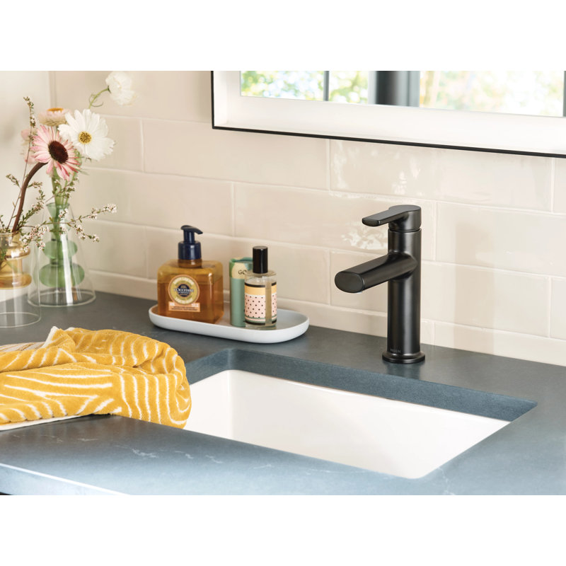 Moen Meena Single Hole Bathroom Faucet with Drain Assembly, Matte Black