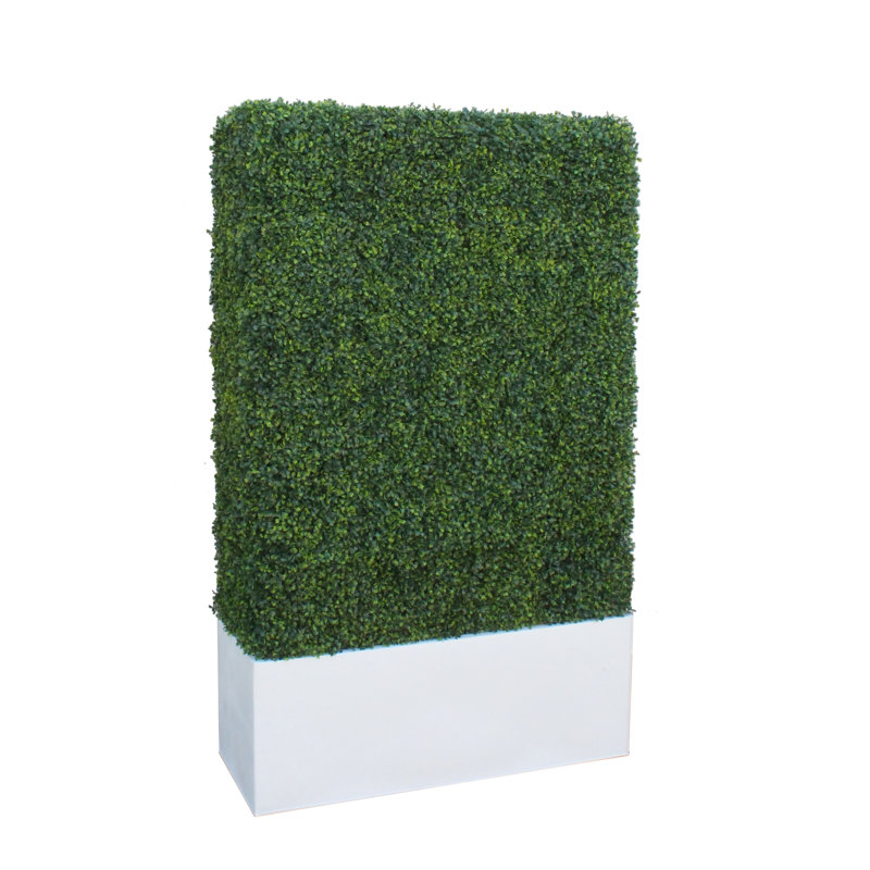 Faux Boxwood Hedge in Wood Planter, White, 72" H x 40" W x 12" D