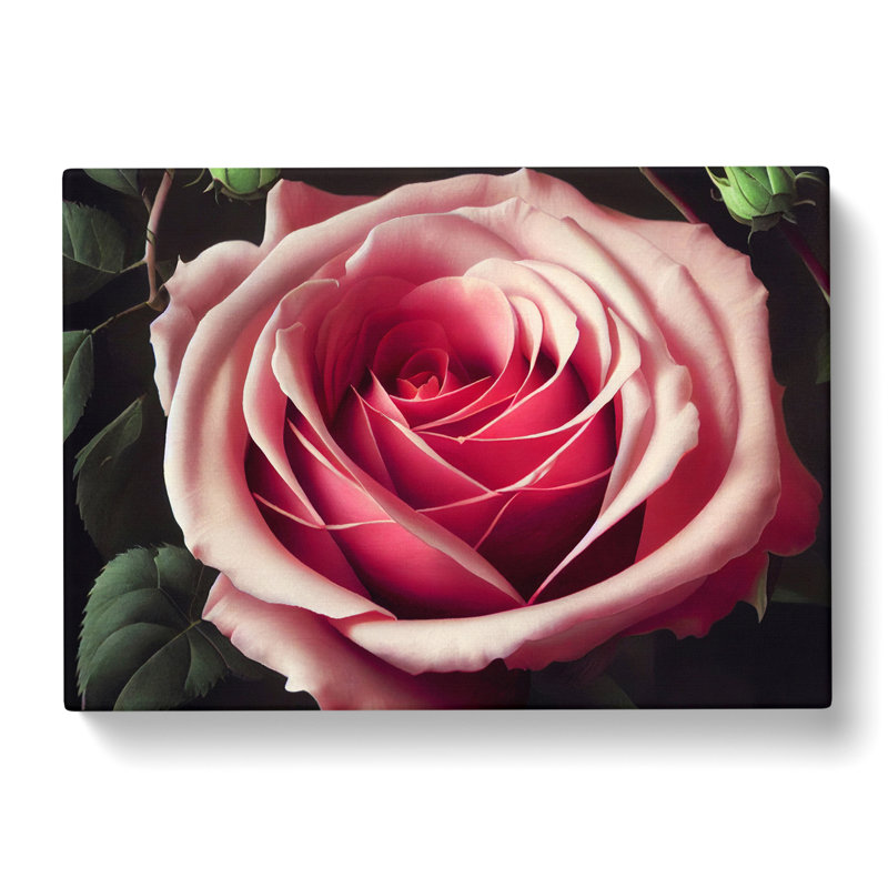 Sparkling Rose Flower - Wrapped Canvas, 50cm H x 76cm W x 3cm D