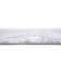 Ansonville Floral Polypropylene Plastic Rug