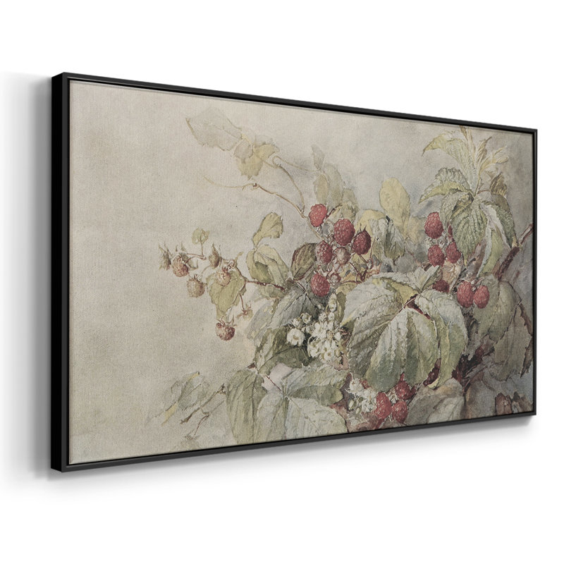 Botanical Series-CDL III- Toile tendue avec châssis tendue, prête à être accrochée, H 25 po x l 49 po, Noir