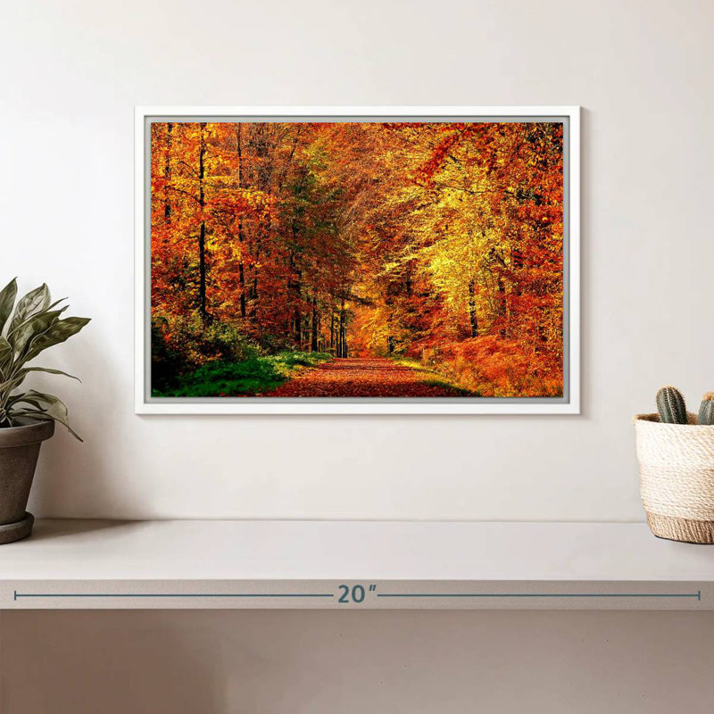 Chemin vers la forêt d'automne, Cadre flottant blanc, 13 po x 9 po
