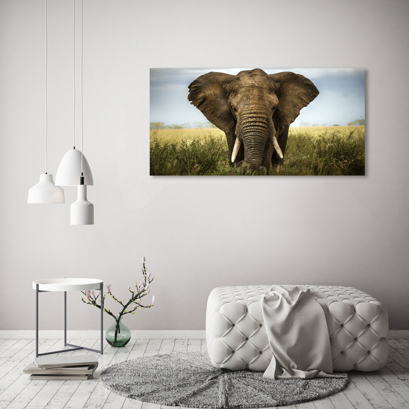 Elephant On The Savanna - Wrapped Canvas Print