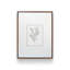 «Botanical Silhouette III» par Cindy Jacobs, reproduction d'art-1521539110-1521539112-1521539114