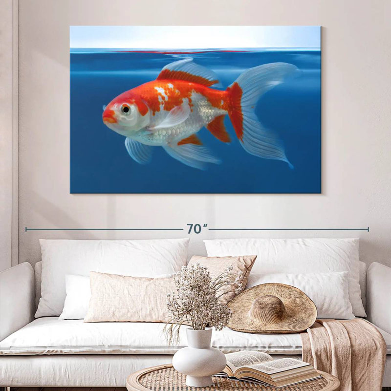 Brampt Shubunkin Aquarium Goldfish, 24" H x 36" W