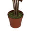170cm Faux Plant in Pot