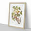 Red Squirrels by J.W. Audubon - Picture Frame Painting Print-55598145-55598148