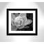 Arriya «Lily Close-Up I», impression encadrée