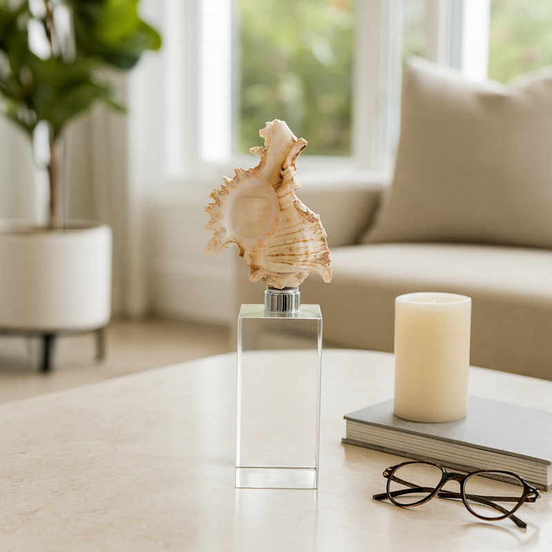 Figurine Oakden Coastal Seashell Sculpture, H 8 po x l 3 po x P 3 po