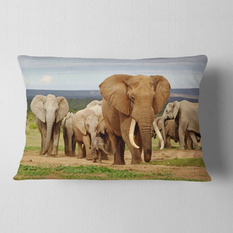 Grand livre d’éléphant en coussin lombaire