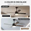 Avamaria 52'' Ceiling Fan with LED Lights-1002625161