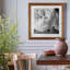 Renoncule foncé II - cadre photo-997338825-997338869-997390543