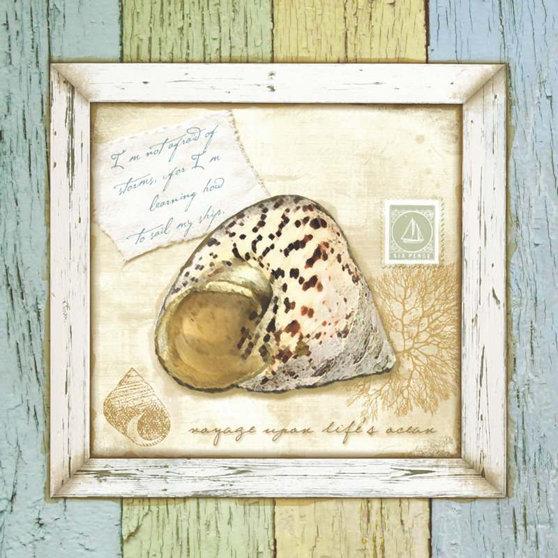 Sea Treasures II - Wrapped Canvas Print, 30cm H x 30cm W x 3.8cm D