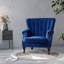 Cadsden Velvet Wingback Chair-38292146