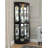 Hanaleigh 22 " W Curio Cabinet