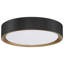 Courtois Acrylic Flush Mount-1507840078-1557541320-1557541316