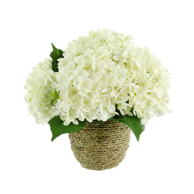 Arrangement d'hortensias en pot Polysilk