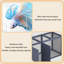Aquarium moderne en verre ultra-transparent