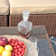 Eudy Wicker 4 - Person Modular Patio Conversation Sets with Cushions