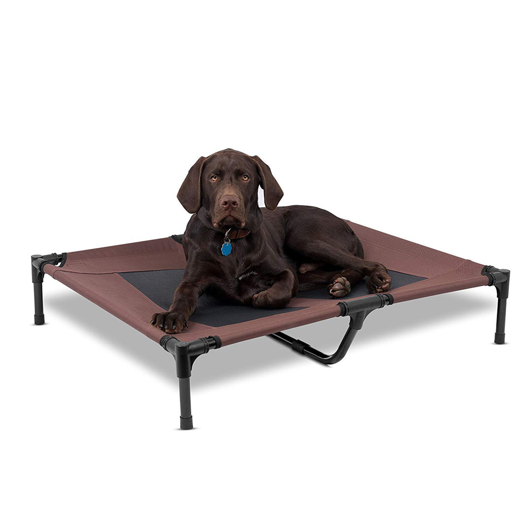 Orthopedic Polyester Pet Bed BirdRock Home