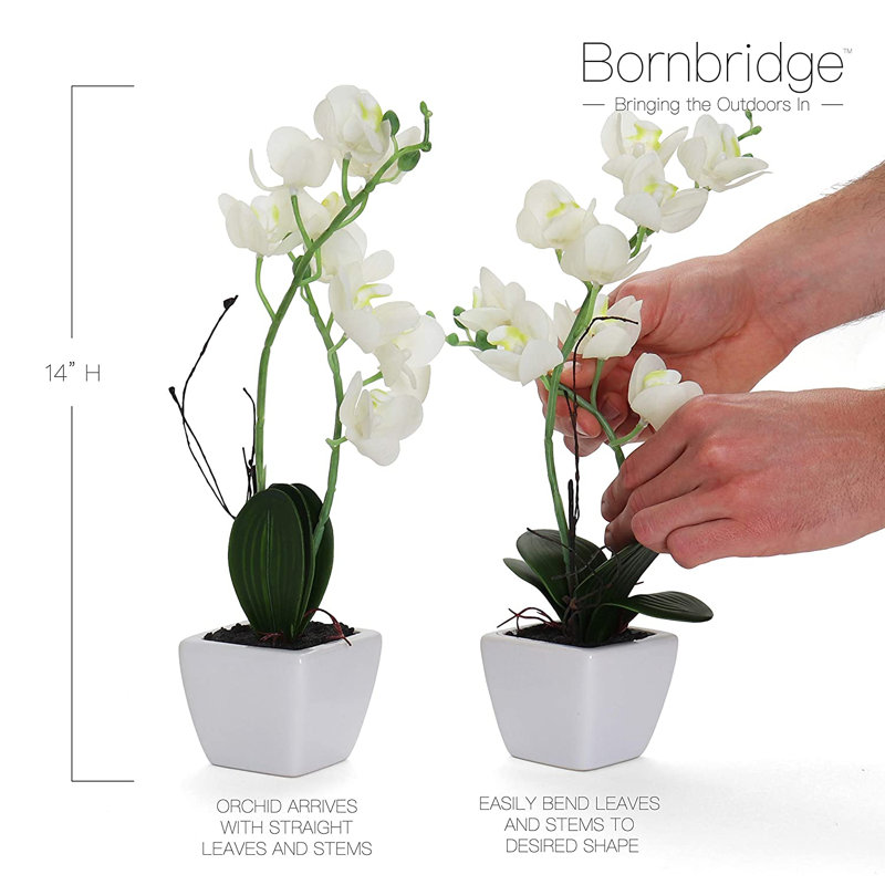 Orchidée artificielle dans un vase, Blanc