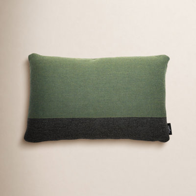 Horizon Sunbrella® Indoor/Outdoor Throw Pillow