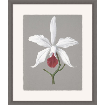 Orchid Study 4 Painting