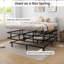 Raymore 10.5" Steel Platform Bed