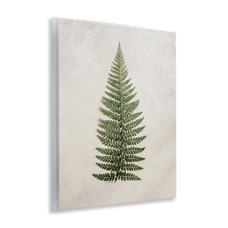 Art détaillé sur plaque de fougère par Jennifer Rigsby
