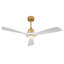 Ventilateur de plafond intérieur chaud 52 pouces avec lumière DEL à intensité variable 3 pales en bois massif, télécommande, moteur à courant continu-121082852-121082855-121082856