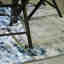 Customer photo 2 of 2