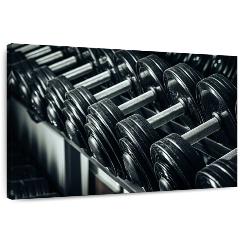 Sireci Workout Loop, 8" H x 12" W