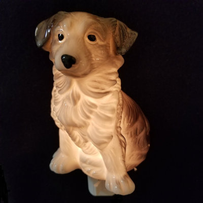 Jordans Border Collie Night Light