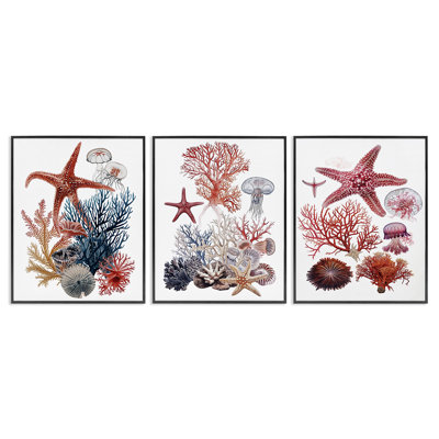 Créatures sous-marines avec corail, ensemble de 3 giclées encadrées, design par Ramona Murdock