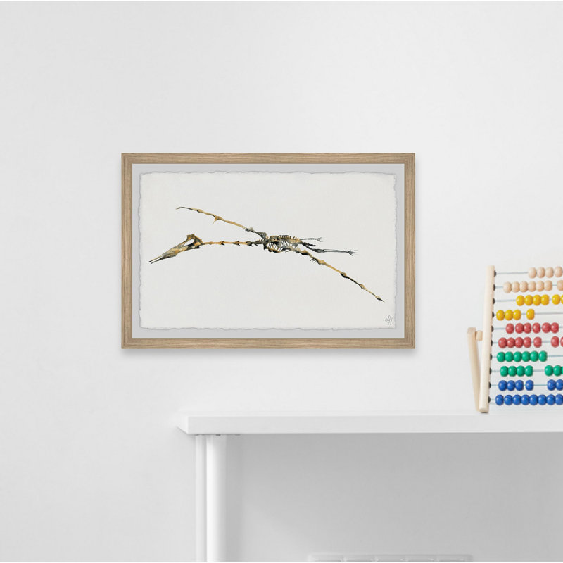 «Brokaw Pterodactyl Skeleton», reproduction encadrée, H 8 po x l 12 po x P 1,5 po