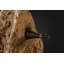 3 Bottle Tabletop Wine Bottle Rack in Brown
