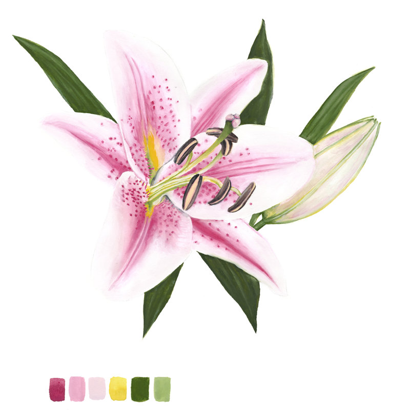 Brighton Blooms II, H 20 po x l 20 po x P 1,25 po