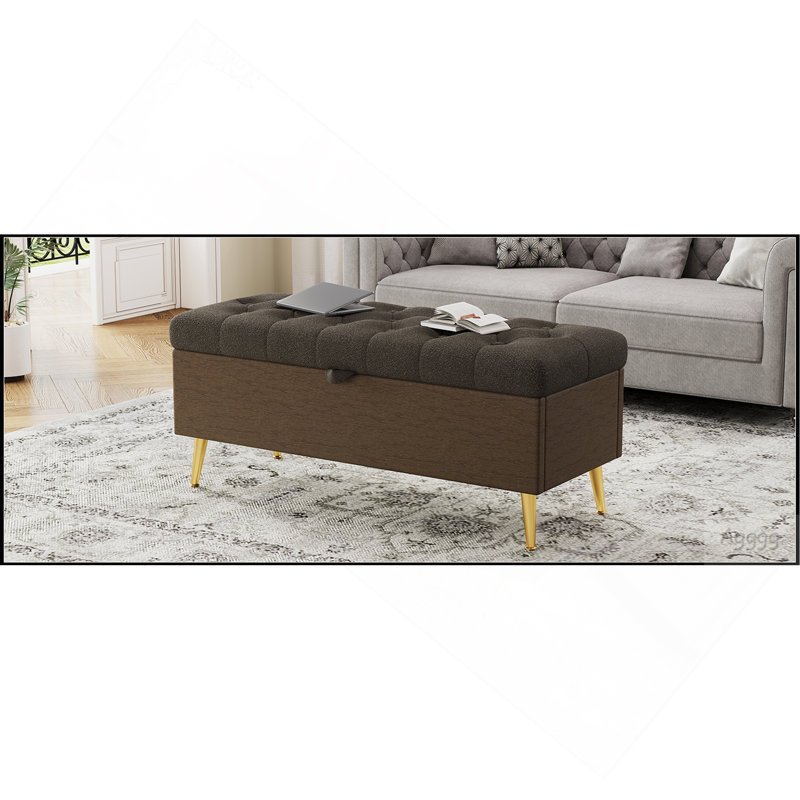 Banc de rangement avec repose-pieds Modern Modern, Café